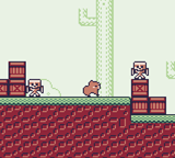 Capybara Quest — ss (WOR)