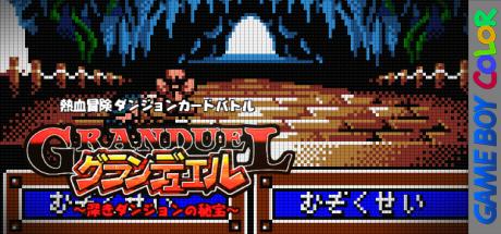 Granduel - Shinki Dungeon no Hihou — steamgrid