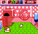 Hamster Paradise — ss (WOR)