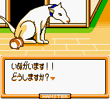 Hamster Paradise 3 — ss (WOR)