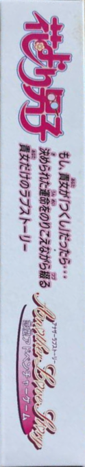 Hana Yori Dango - Another Love Story — box-2D-side (JP)