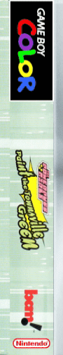 The Powerpuff Girls : Paint the Townsville Green — box-2D-side (US)