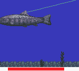 Super Real Fishing — ss (WOR)