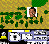 Tiger Woods PGA Tour 2000 — ss (WOR)
