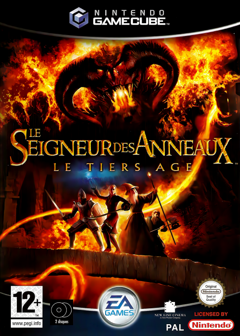 Lord Of The Rings, The - The Third Age — box-2D (FR)