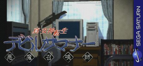 Shin Megami Tensei - Devil Summoner — steamgrid