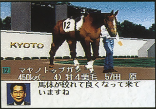 Turfwind '96 - Take Yutaka Kyousouba Ikusei Game — ss (JP)
