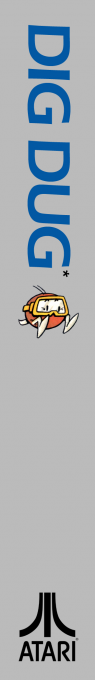 Dig Dug — box-2D-side (US)