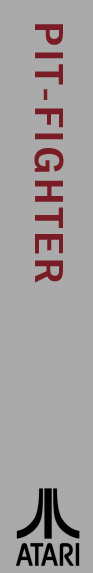 Pit Fighter — box-2D-side (WOR)