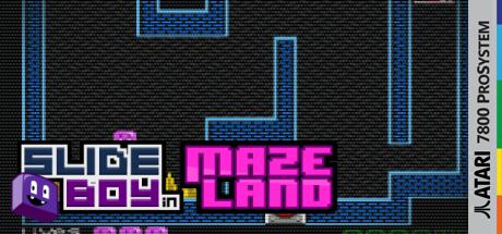 Slide Boy in Maze Land — steamgrid