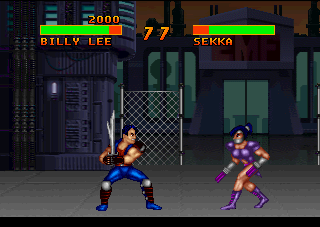 Double Dragon V : The Shadow Falls — ss (WOR)