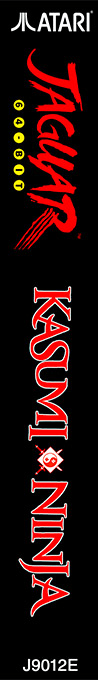 Kasumi Ninja — box-2D-side (WOR)