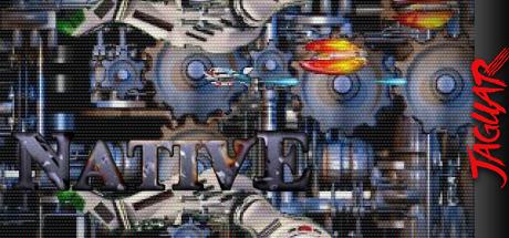 Native — steamgrid