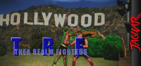 Thea Realm Fighters — steamgrid