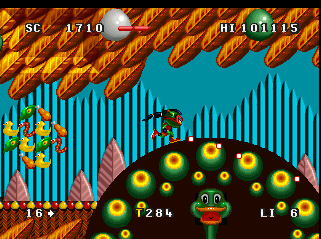 Zool 2 — ss (WOR)