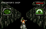 Alien vs Predator — ss (US)