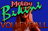 Malibu Bikini Volleyball — sstitle (WOR)