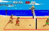 Malibu Bikini Volleyball — ss (WOR)