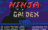 Ninja Gaiden — sstitle (WOR)
