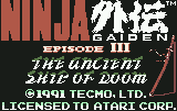 Ninja Gaiden 3 - The Ancient Ship Of Doom — sstitle (WOR)