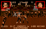 Pit-fighter — ss (WOR)