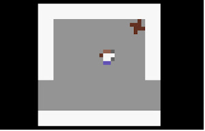 Tiny Lynx Adventure — ss (WOR)