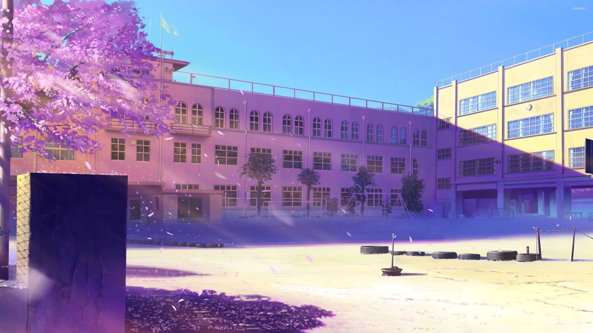 Cherry Blossom — fanart
