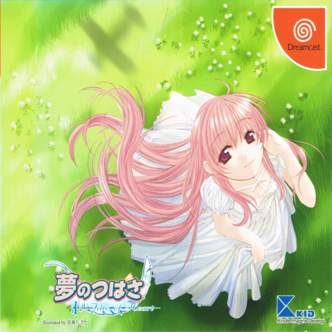 Yume no Tsubasa - Fate of Heart box art