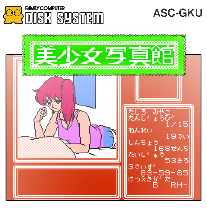 Bishoujo Shashinkan - Studio Cut — box-2D (SS)