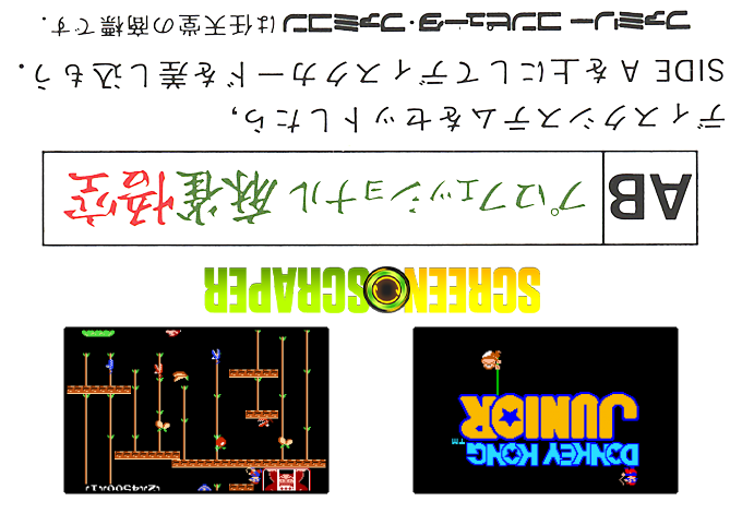 Donkey Kong Jr. — box-2D-back (SS)