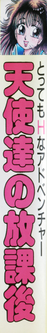 Tenshi Tachi No Houkago — box-2D-side (CUS)