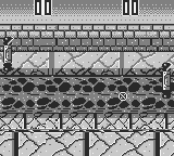 Pong Boy — ss (WOR)