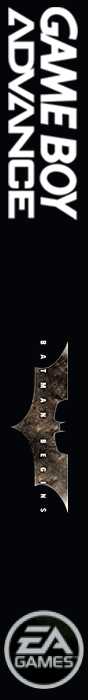 Batman Begins — box-2D-side (FR)