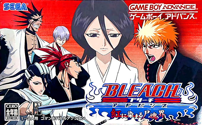 Bleach Advance box art
