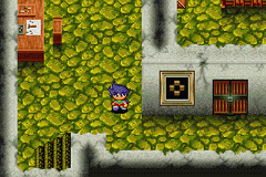 Bouken Yuuki Pluster World - Densetsu No Plust Gate — ss (WOR)