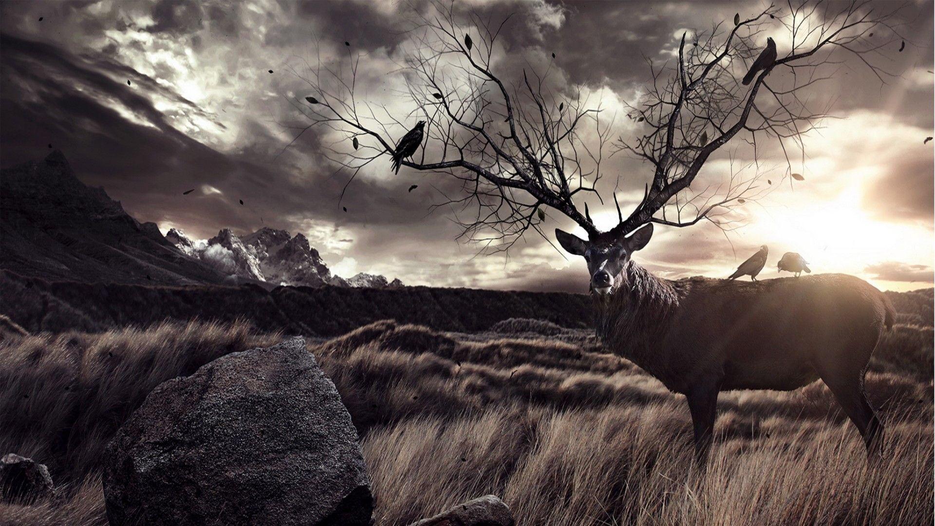 Cabela's Big Game Hunter — fanart