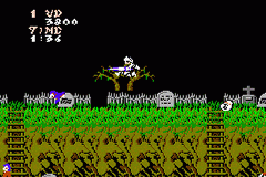 Famicom Mini 18 - Makai Mura — ss (WOR)