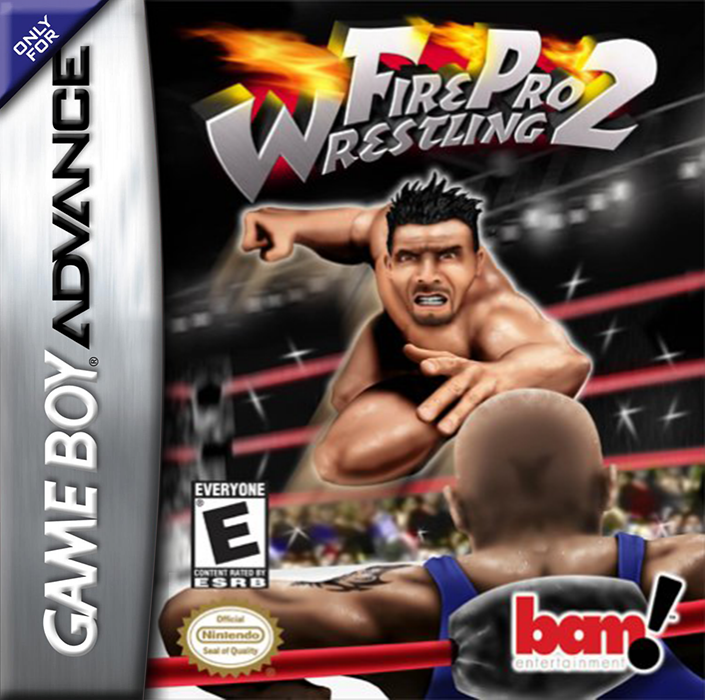 Fire Pro Wrestling 2 box art