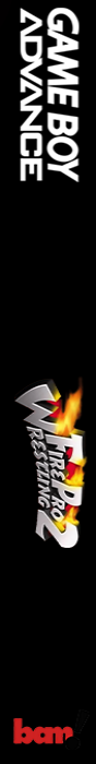 Fire Pro Wrestling 2 — box-2D-side (US)