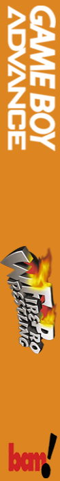 Fire Pro Wrestling — box-2D-side (EU)