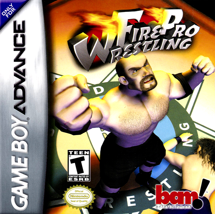 Fire Pro Wrestling box art