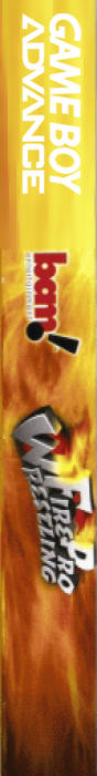 Fire Pro Wrestling — box-2D-side (US)