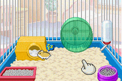 Hamster Club 3 — ss (WOR)