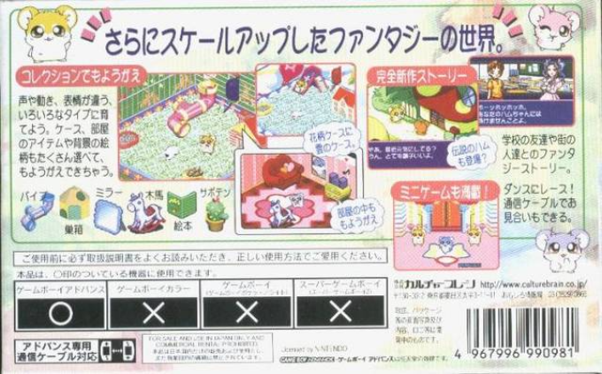 Hamster Monogatari 2 Gba — box-2D-back (JP)