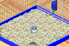 Hamster Monogatari 2 Gba — ss (WOR)
