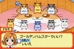 Hamster Paradise - Pure Heart — ss (WOR)