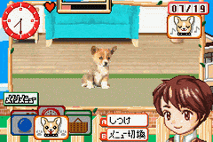 Kawaii Pet Game Gallery — ss (WOR)