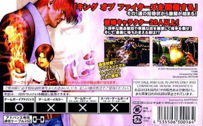 King Of Fighters Ex - Neoblood, The — box-2D-back (JP)