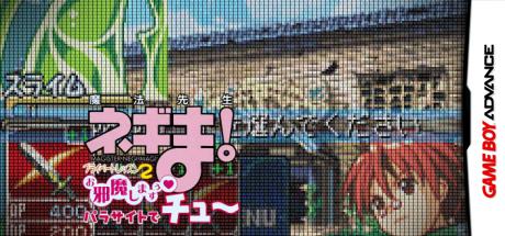 Mahou Sensei Negima! - Private Lesson 2 - Ojamashimasuu Parasite de Chuu — steamgrid