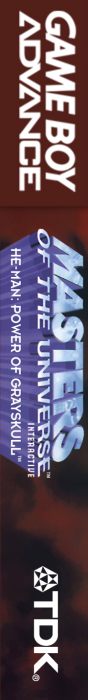 Masters Of The Universe He-man - Power Of Grayskull — box-2D-side (US)